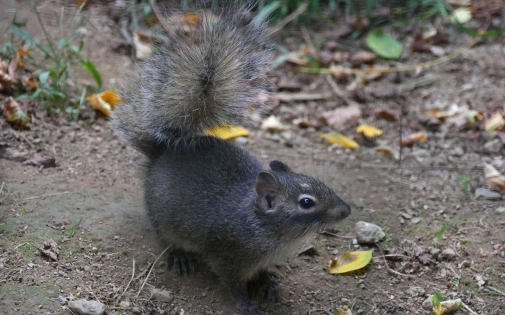 Actualités Actualités