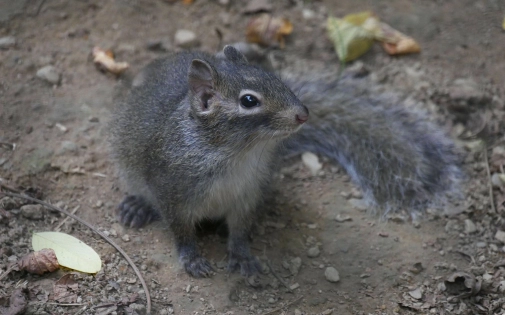 Actualités Actualités