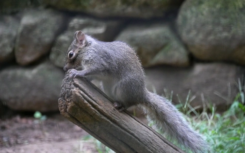 Actualités Actualités