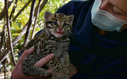 Actualités Actualités