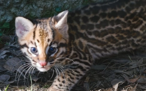 Actualités Actualités