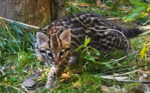 Actualités Actualités