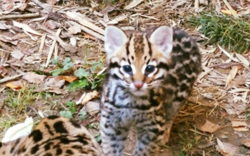 Actualités Actualités