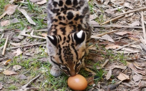 Actualités Actualités