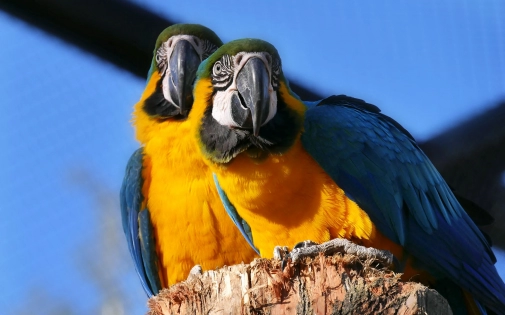 Actualités Actualités