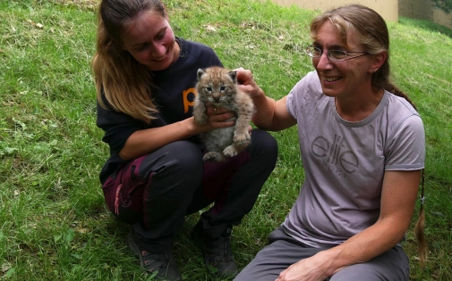 Actualités Actualités