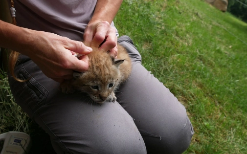 Actualités Actualités