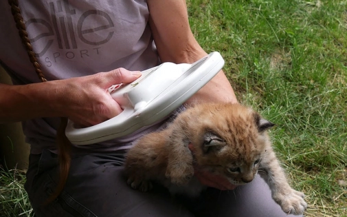 Actualités Actualités