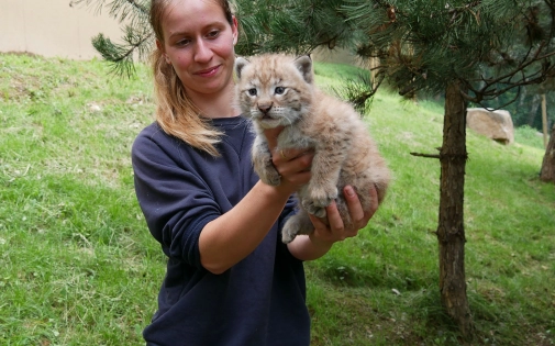 Actualités Actualités