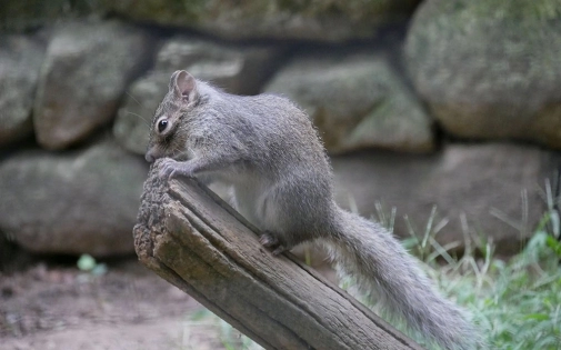 Une Saison Riche en Nouveautés
