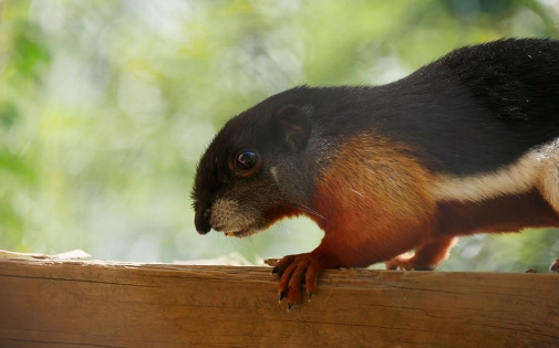 Une Saison Riche en Nouveautés