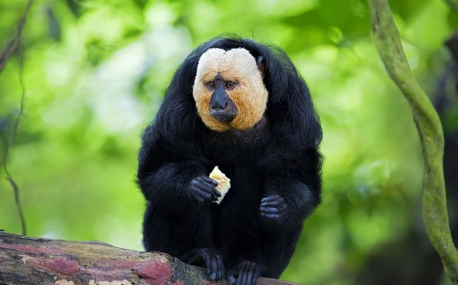 Une Saison Riche en Nouveautés