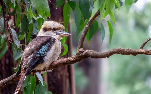 Une Saison Riche en Nouveautés