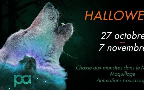 Halloween au Parc Animalier des Pyrénées