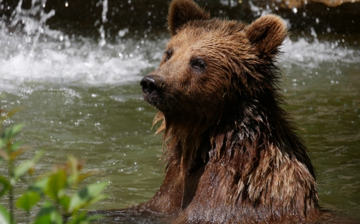 Visites Groupes - Scolaires & Jeunesse
