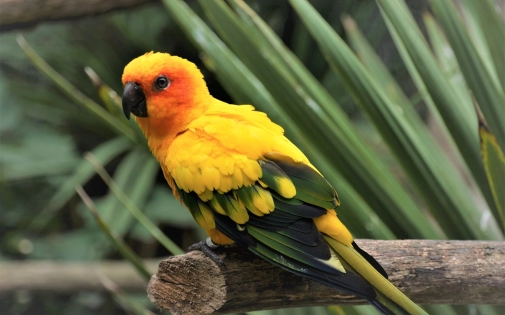 Visites Groupes - Adultes