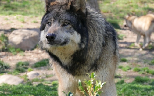 Règlement Intérieur