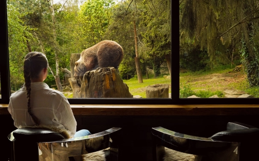 Dormir avec les Ours Dormir avec les Ours Bruns