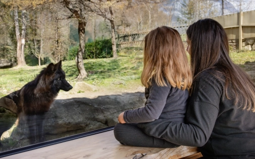 Dormir avec les Loups Noirs Dormir avec les Loups Noirs