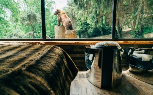 Dormir avec les Ours Dormir avec les Ours Bruns