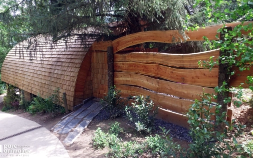 Dormir avec les Ours Dormir avec les Ours Bruns