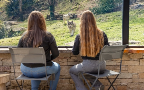 Dormir avec les Loups Dormir avec les Loups