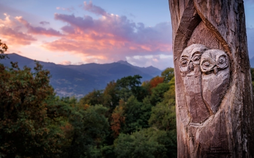 Offrir une nuit avec les animaux