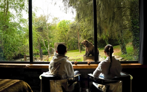 Dormir avec les Ours Dormir avec les Ours Bruns