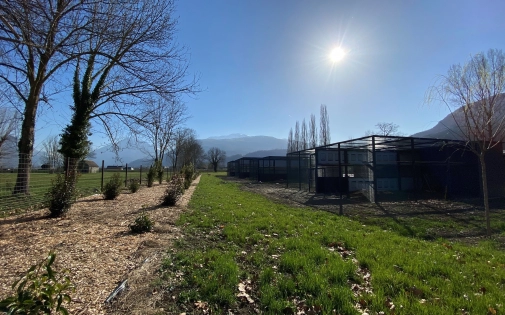 Notre Centre d'Élevage du Gypaète Barbu 