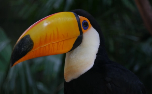 Billetterie CSE & Collectivités