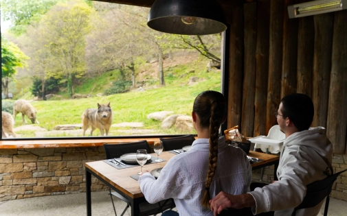 Dormir avec les Loups Dormir avec les Loups