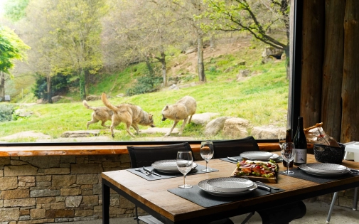 Dormir avec les Loups Dormir avec les Loups