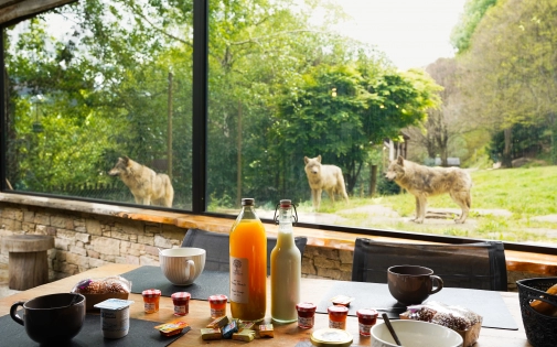 Dormir avec les Loups Dormir avec les Loups