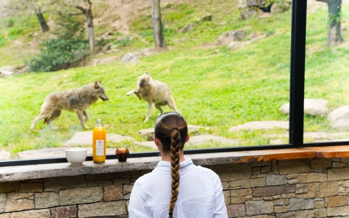 Dormir avec les Loups Dormir avec les Loups