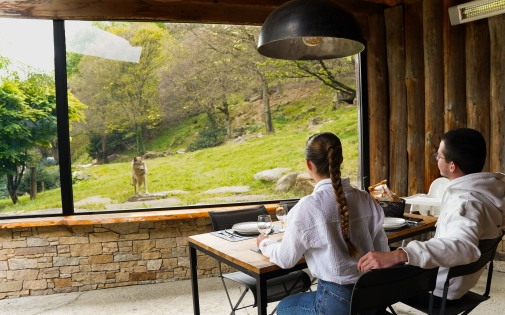 Dormir avec les Loups Dormir avec les Loups