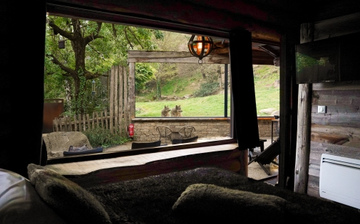 Dormir avec les Loups Dormir avec les Loups