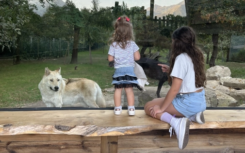 Dormir avec les Loups Noirs Dormir avec les Loups Noirs