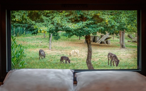 Dormir avec les Loups Noirs Dormir avec les Loups Noirs
