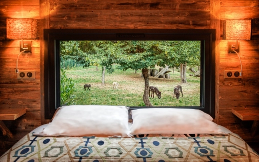 Dormir avec les Loups Noirs Dormir avec les Loups Noirs