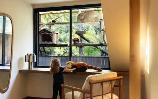 Dormir avec les Pandas Roux Dormir avec les Pandas Roux