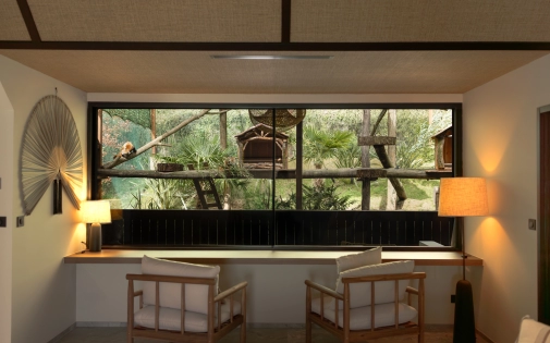 Dormir avec les Pandas Roux Dormir avec les Pandas Roux