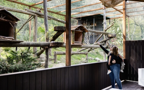 Dormir avec les Pandas Roux Dormir avec les Pandas Roux