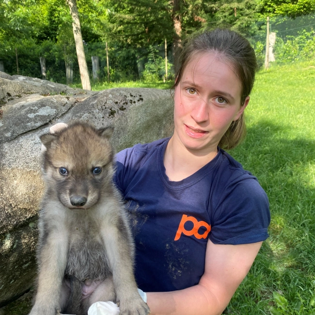 2 louveteaux noirs sont nés !