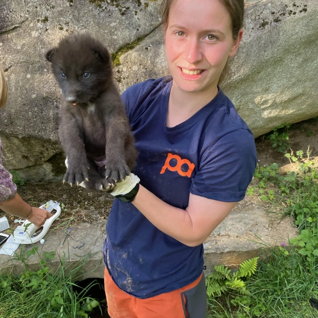 2 louveteaux noirs sont nés !