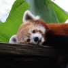 Votre journée au Parc Animalier