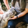 Rencontre avec les Marmottes