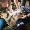 Rencontre avec les Marmottes