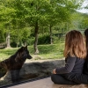 Dormir avec les Loups Noirs